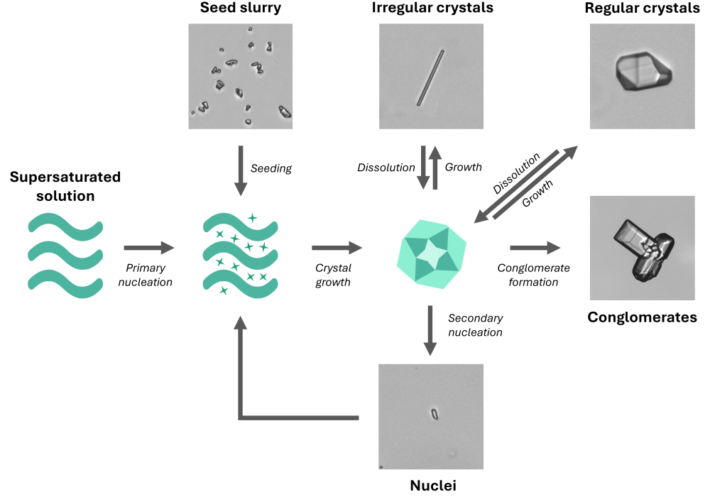 Crystallization – ParticleTech