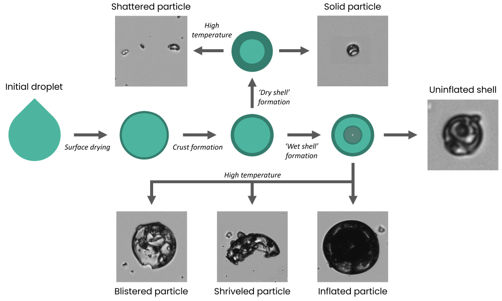 Particle morphologies